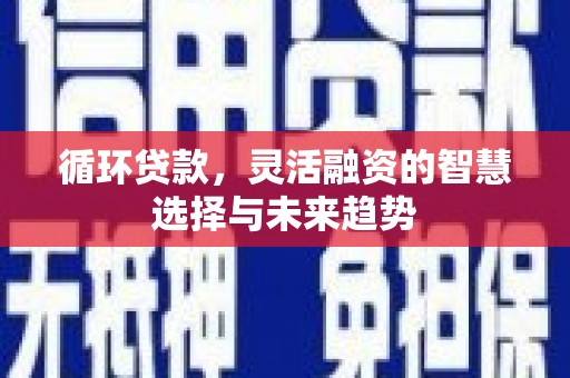 沙依巴克循环贷款，灵活融资的智慧选择与未来趋势