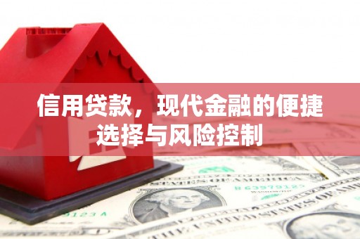 沙依巴克信用贷款，现代金融的便捷选择与风险控制