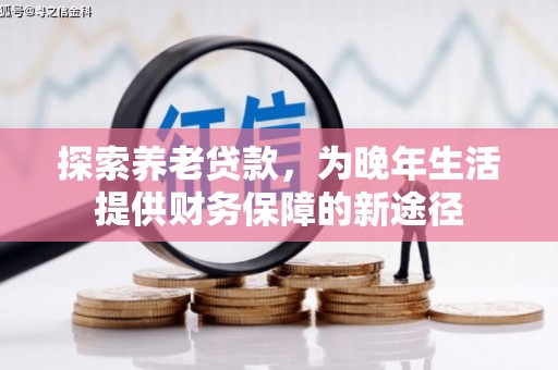沙依巴克探索养老贷款，为晚年生活提供财务保障的新途径