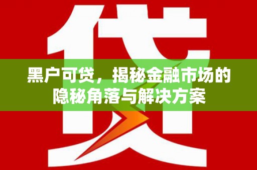 沙依巴克黑户可贷，揭秘金融市场的隐秘角落与解决方案