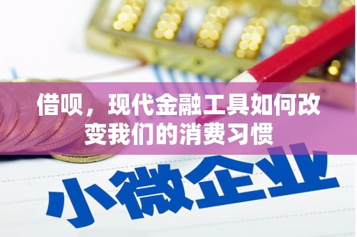 沙依巴克借呗，现代金融工具如何改变我们的消费习惯