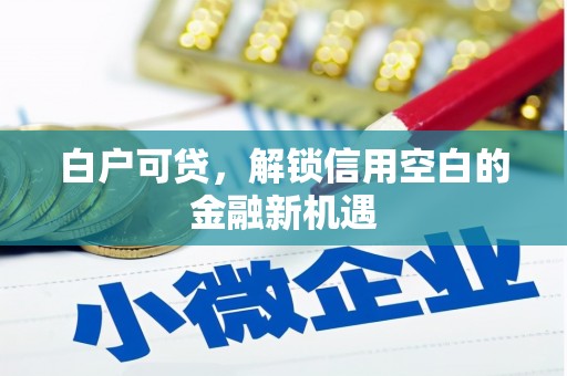 沙依巴克白户可贷，解锁信用空白的金融新机遇