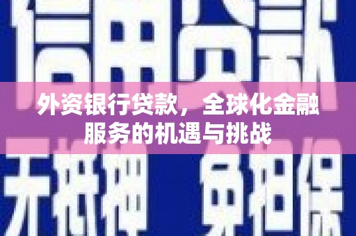 沙依巴克外资银行贷款，全球化金融服务的机遇与挑战