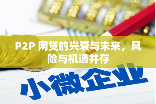 沙依巴克P2P 网贷的兴衰与未来，风险与机遇并存