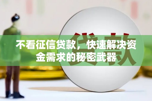沙依巴克不看征信贷款，快速解决资金需求的秘密武器