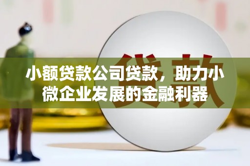沙依巴克小额贷款公司贷款，助力小微企业发展的金融利器