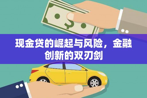沙依巴克现金贷的崛起与风险，金融创新的双刃剑