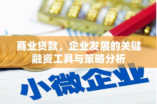 沙依巴克商业贷款，企业发展的关键融资工具与策略分析
