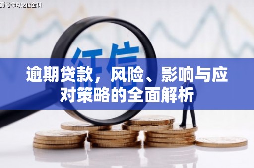 沙依巴克逾期贷款，风险、影响与应对策略的全面解析
