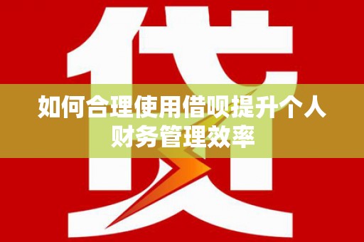 沙依巴克如何合理使用借呗提升个人财务管理效率