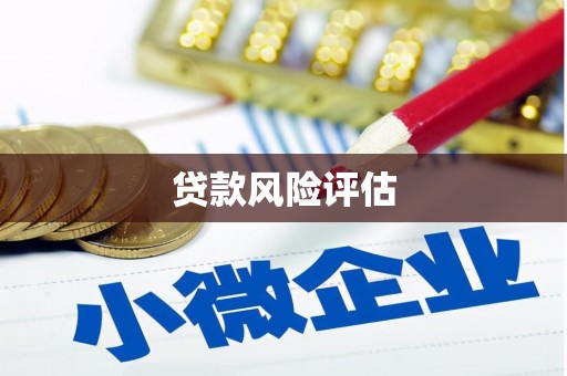 沙依巴克贷款风险评估