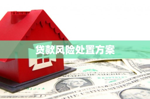 沙依巴克贷款风险处置方案