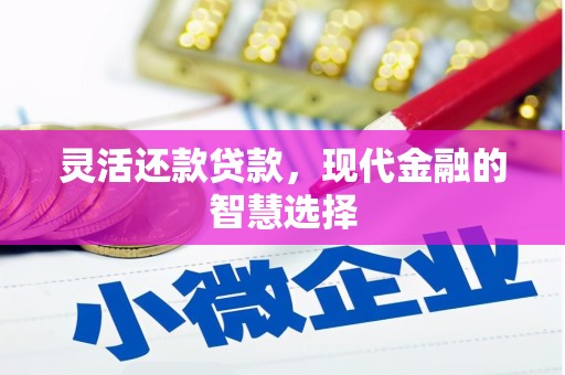 沙依巴克灵活还款贷款，现代金融的智慧选择