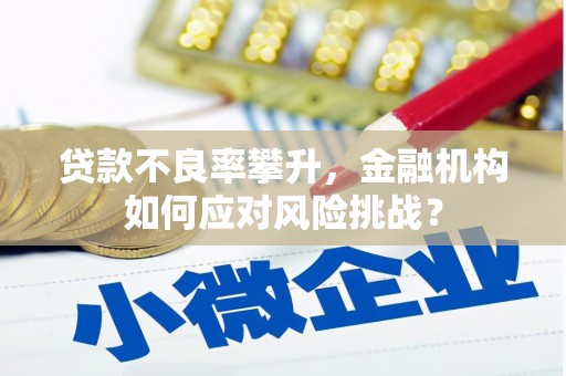 沙依巴克贷款不良率攀升，金融机构如何应对风险挑战？