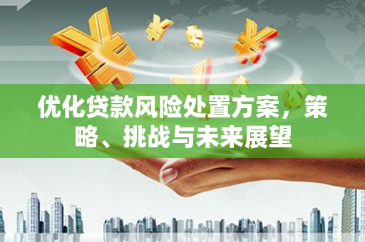 沙依巴克优化贷款风险处置方案，策略、挑战与未来展望