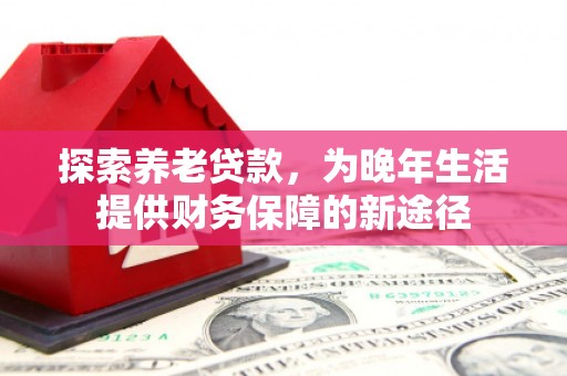 沙依巴克探索养老贷款，为晚年生活提供财务保障的新途径
