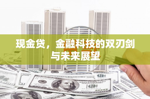 沙依巴克现金贷，金融科技的双刃剑与未来展望