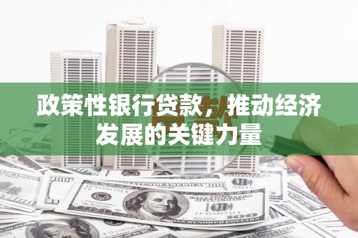 沙依巴克政策性银行贷款，推动经济发展的关键力量