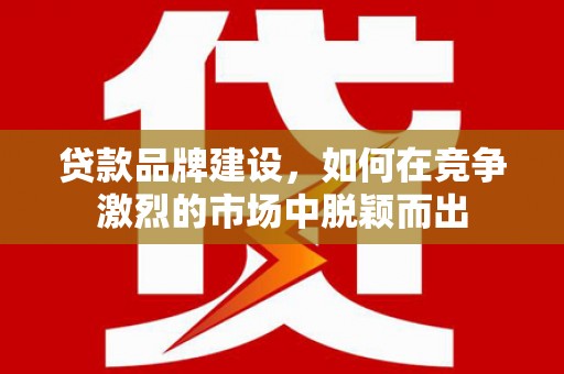 沙依巴克贷款品牌建设，如何在竞争激烈的市场中脱颖而出