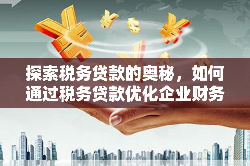 沙依巴克探索税务贷款的奥秘，如何通过税务贷款优化企业财务