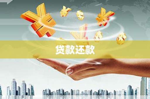 沙依巴克贷款还款