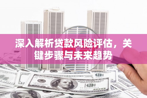 沙依巴克深入解析贷款风险评估，关键步骤与未来趋势