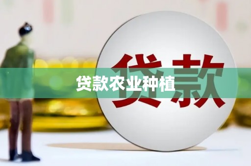 沙依巴克贷款农业种植