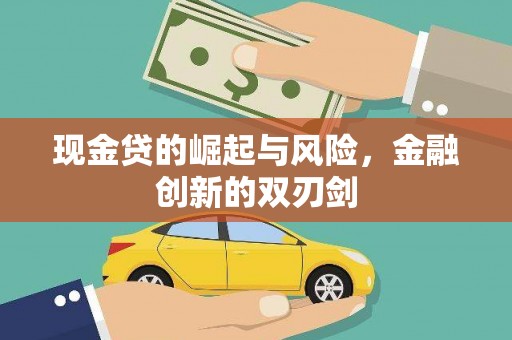 沙依巴克现金贷的崛起与风险，金融创新的双刃剑