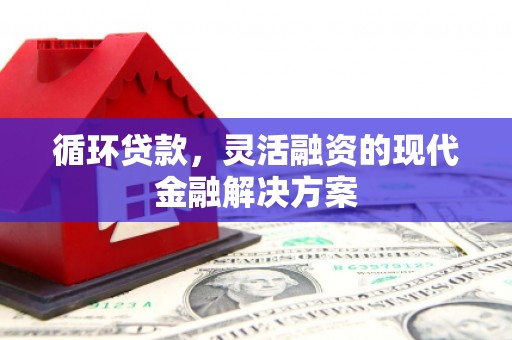 沙依巴克循环贷款，灵活融资的现代金融解决方案