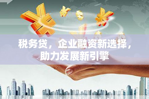 沙依巴克税务贷，企业融资新选择，助力发展新引擎