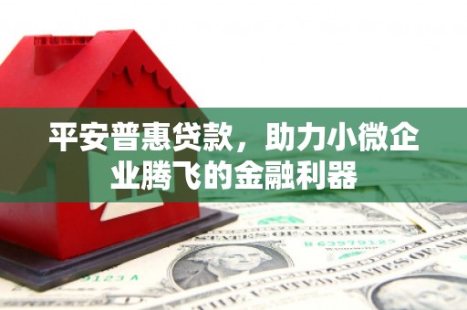 沙依巴克平安普惠贷款，助力小微企业腾飞的金融利器