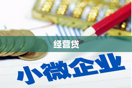 沙依巴克经营贷