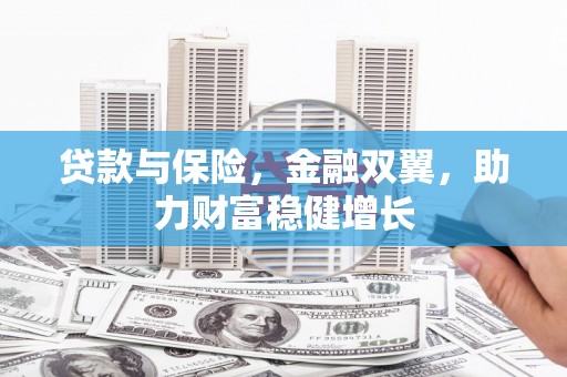 沙依巴克贷款与保险，金融双翼，助力财富稳健增长