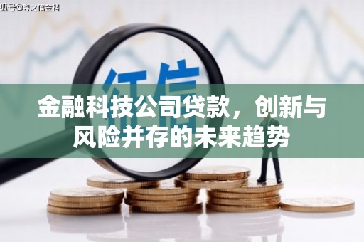 沙依巴克金融科技公司贷款，创新与风险并存的未来趋势