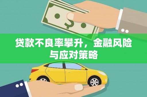 沙依巴克贷款不良率攀升，金融风险与应对策略