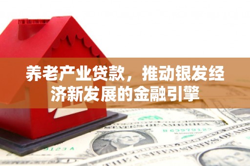 沙依巴克养老产业贷款，推动银发经济新发展的金融引擎