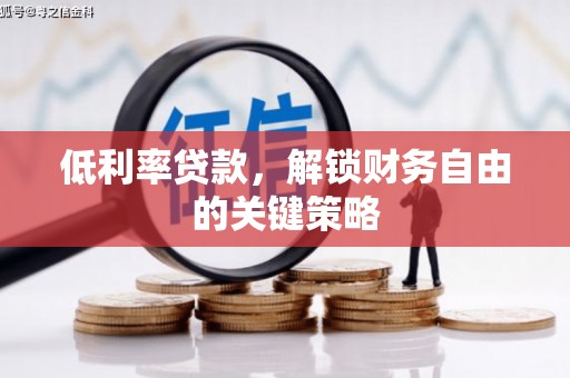 沙依巴克低利率贷款，解锁财务自由的关键策略