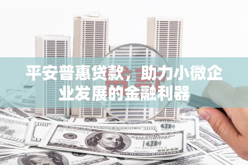 沙依巴克平安普惠贷款，助力小微企业发展的金融利器