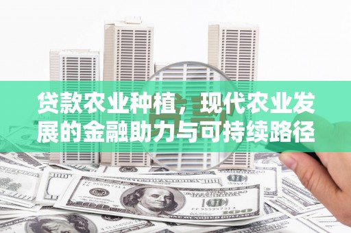 沙依巴克贷款农业种植，现代农业发展的金融助力与可持续路径