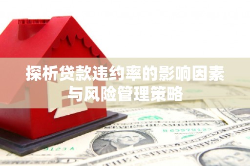 沙依巴克探析贷款违约率的影响因素与风险管理策略
