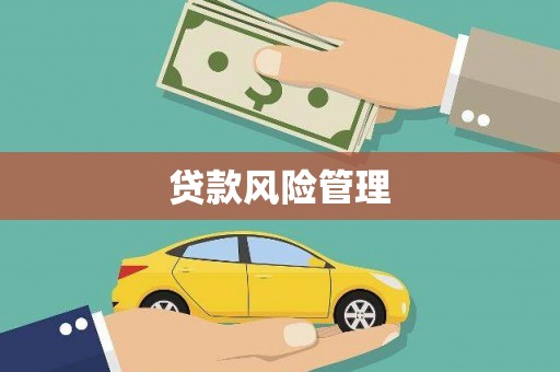 沙依巴克贷款风险管理