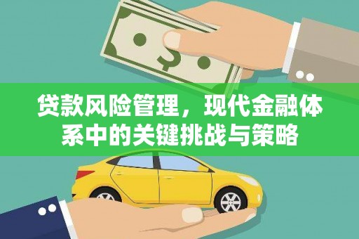 沙依巴克贷款风险管理，现代金融体系中的关键挑战与策略