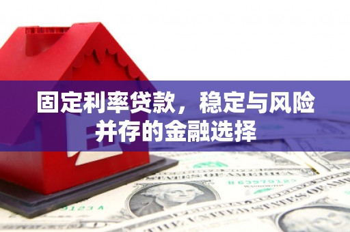 沙依巴克固定利率贷款，稳定与风险并存的金融选择
