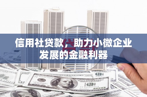 沙依巴克信用社贷款，助力小微企业发展的金融利器