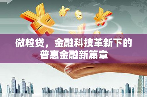 沙依巴克微粒贷，金融科技革新下的普惠金融新篇章