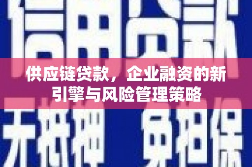 沙依巴克供应链贷款，企业融资的新引擎与风险管理策略