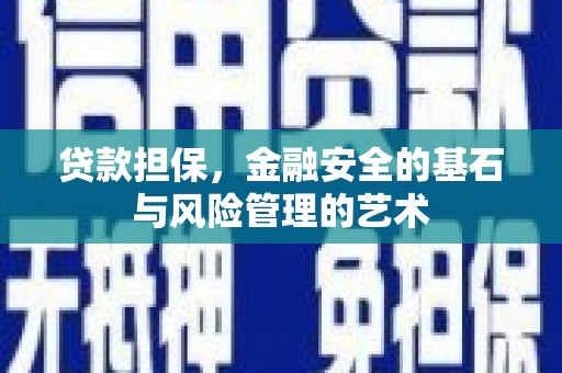 沙依巴克贷款担保，金融安全的基石与风险管理的艺术