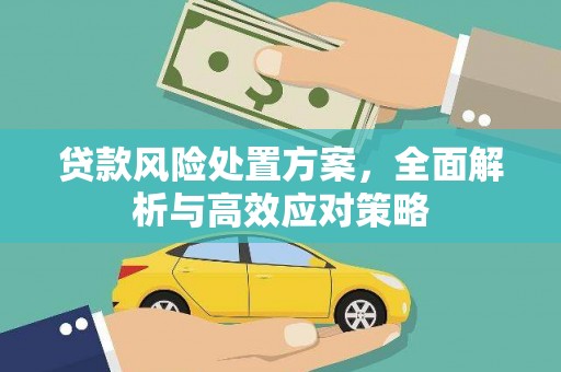 沙依巴克贷款风险处置方案，全面解析与高效应对策略