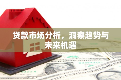 沙依巴克贷款市场分析，洞察趋势与未来机遇
