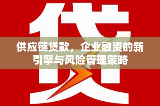 沙依巴克供应链贷款，企业融资的新引擎与风险管理策略